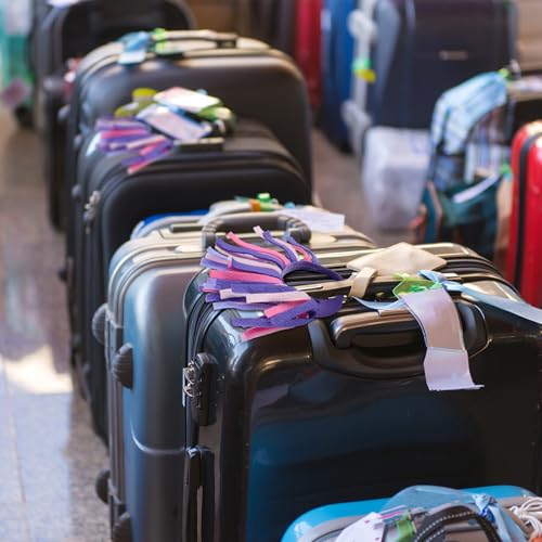 Breling 2 Pcs Luggage Pom Poms for Suitcases Funny Luggage Identifiers Pom Tags for Suitcase Backpack, Knotted Strap(Pastel Colors)3