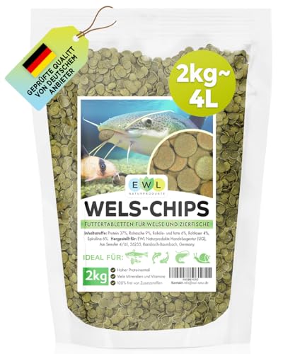 EWL Naturprodukte Wels Futtertabletten 2kg (ca. 4ltr.) XXL Pack, Welsfutter, Wels Chips mit Spirulina, Fischfutter Aquarium, Welstabletten, geprüfte Qualität von deutschem Anbieter EWL Naturprodukte Wels Futtertabletten 2kg (ca. 4ltr.) XXL Pack, Welsfutter, Wels Chips mit Spirulina, Fischfutter Aquarium, Welstabletten, geprüfte Qualität von deutschem Anbieter