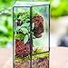 NCYP Front Opening Glass Terrarium with Door for Succulents, Small Plants - Closed Geometric Container Planter, Indoor Tabletop Wall Corner Landscape Decor, Black, 5