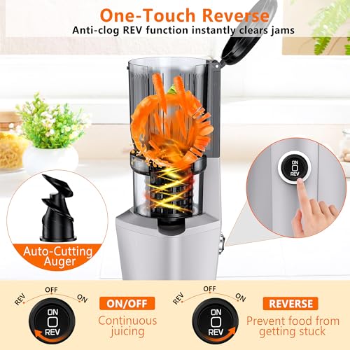 Cold Press Juicer Machine, Slow Masticating Juicer with 96% Yield, Wide Chute for Whole Fruits, Ultra Quiet (<60dB) for Leafy Greens & Celery (Silvery) - Thumbnail 4