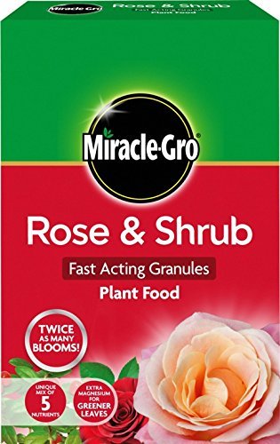 Miracle-Gro Rose & Shrub Plant Food 3kg Carton