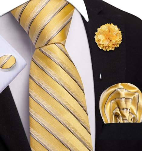 Image of Dubulle Mens Tie and Lapel Pin Paisley Striped Floral Necktie for Men Pocket Square Cufflinks 4PCS Set Wedding Party