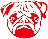 ✅ Darstellung auf den Bildern kann von der gekauften Größe + Farbe abweichen. In der Lieferung enthalten ist nur der beschriebene Artikel nicht die eventuell auf den Beispielbildern abgebildeten Dekoartikel. Direkt vom Hersteller. Made in Germany.