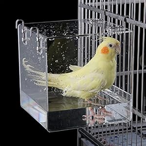 Aceshop Vogelbad, hangende vogelbadkuip transparante badbox van acryl vogelkooi accessoires met haken voor kleine vogels…