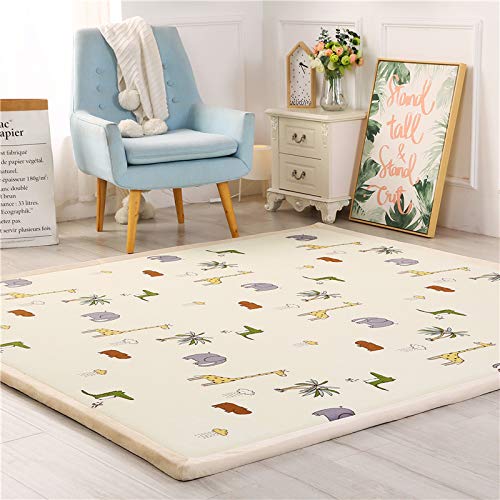 DSSHENGDS Coral Velvet Rug for Bedroom Dormitory Yoga,Home Decor for Living Room,Educational Classroom Nursery Bedroom Crawling Mat Non-slip Rug 2cm-L- 150 * 220cm
