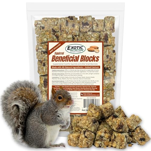 Exotic Nutrition Squirrel Beneficial Blocks - Healthy & Unique Supplemental Food with Nuts & Seeds 20 oz