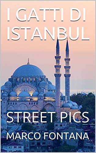 I GATTI DI ISTANBUL: STREET PICS (Italian Edition)