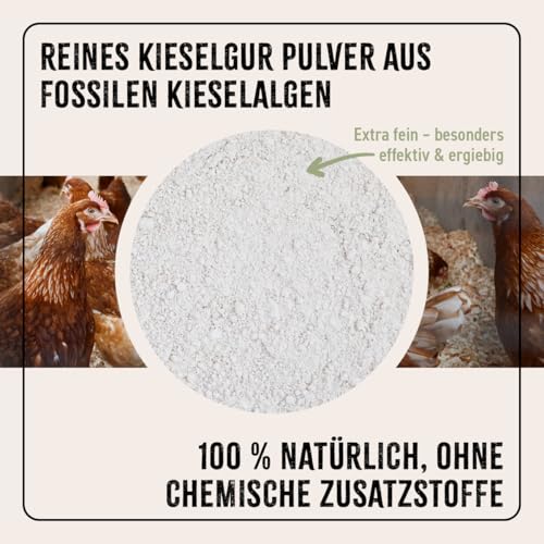 AniForte Kieselgur für Hühner 4,2kg inkl. Stäubeflasche - Reines Kieselgur Hühner Pulver, Kieselerde Pulver, Naturprodukt für Hühnerstall, Laborgeprüft für Geflügel Betriebe