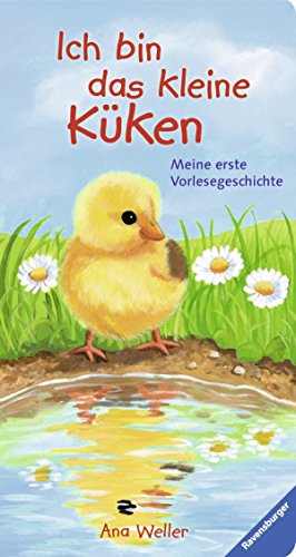 Ich bin das kleine Küken: Meine erste Vorlesegeschichte