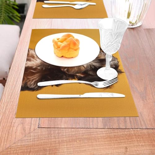 Napperons en PVC lavable noir pour protéger la table des taches