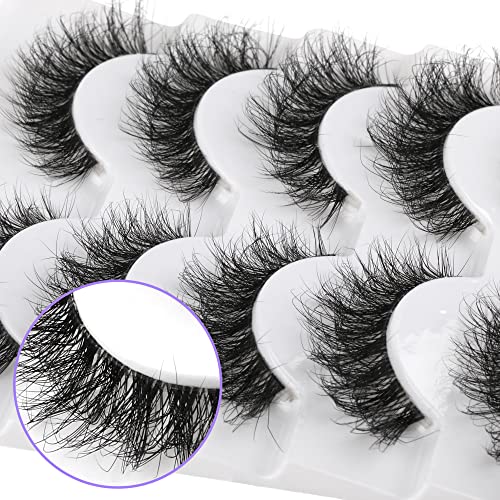 Ruairie Fake Eyelashes with Clear Bands Fluffy False Eyelashes Natural Look Wispy Volume 3d Faux Mink Cat Eye Lashes Pack 5 Pairs