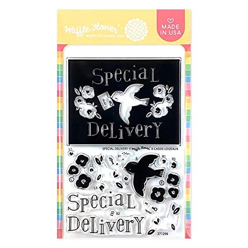 Waffle Flower Crafts Clear Stamp 4X6 Spcl Deliv, Special Delivery #TOP2
