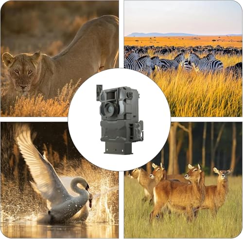 Image of 6000mAh Replacement Battery for Reveal Series Hunting Camera | Compatible with Reveal X, XB, SK, X Gen 2.0, X Gen 3.0, X Pro, X Pro 3.0, with LED Battery Meter