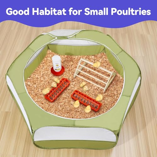 Image of Pawaboo Chick Brooder Box for Chick Starter Kit, Green + Red + Wood Color