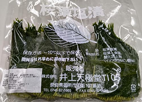 国産 桜の葉 塩漬 ( M ) 真空 200枚 冷凍 業務用 井上天極堂