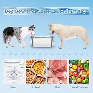 3 Gallons Extra Large Dog Water Bowl, Large Stainless Steel Dog Bowl, Durable Metal Dog Food and Water Bowls Indoor Outdoor, Large Capacity Dog Bowls for Large, Medium Breed 3 Gallons Extra Large Dog Water Bowl, Large Stainless Steel Dog Bowl, Durable Metal Dog Food and Water Bowls Indoor Outdoor, Large Capacity Dog Bowls for Large, Medium Breed