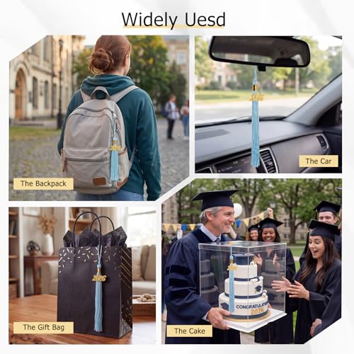 Image of GraduationMall Single&Multiple Color Graduation Tassel with 2026 Year Charm 9 inch