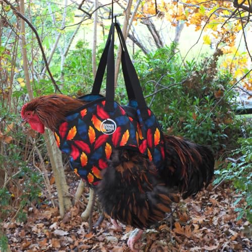 Image of DOWN UNDER OUTDOORS Chicken Carrier Sling Holder Bag with Handle, Chicken Accessories for Foot Treatment, Medic, Leg Injuries, Bumblefoot, Poultry Farm Carrying, Transport, Three Sizes (Large)