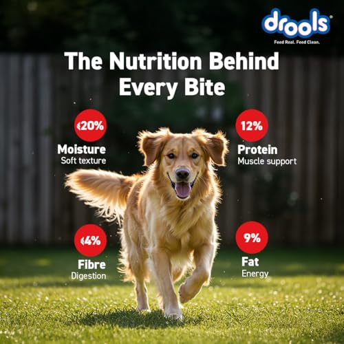 Image of Drools Puppy & Adult Dog Treats Sticks 100g | Blueberry Flavour | Rich in Protein | No Artificial Preservatives | Best for Training & Bonding | Formulated in USA | Premium Treats