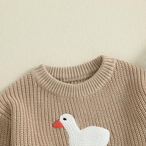Toddler Baby Boy Girl Goose Sweater Silly Goose Embroidery Knit Sweater Crewneck Sweatshirt Fall Winter Clothes4