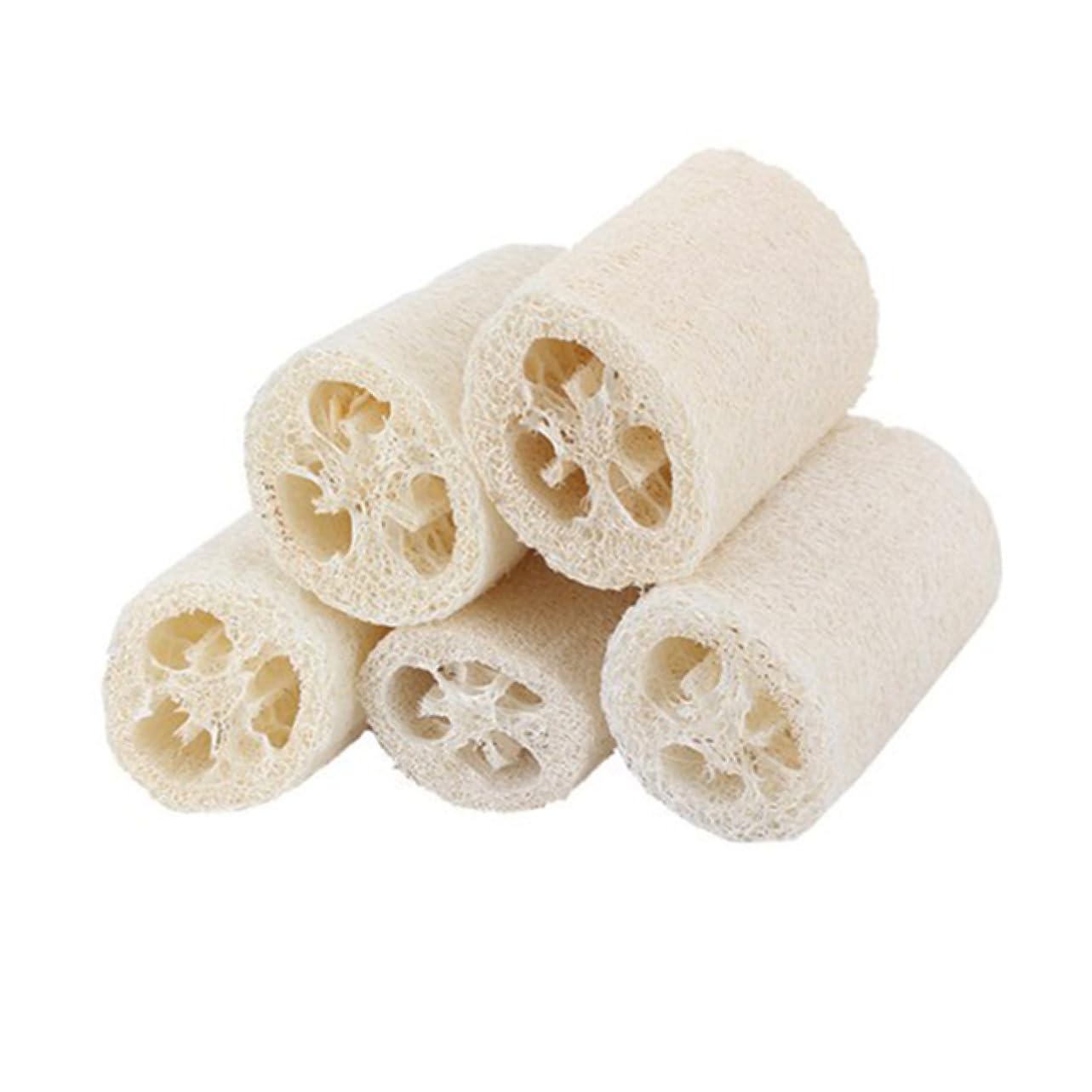 2 Juegos de Esponjas Exfoliantes Naturales para Baño Espalda Limpieza Corporal Portátiles Y Resistentes 5 Unidades.