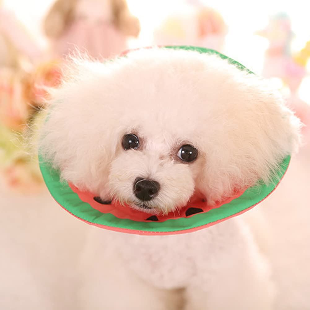 猫 犬 エリザベスカラー エリザベス クッション 柔らかい 軽い スイカ ＸＳ Amazon | PET 猫 犬 エリザベスカラー エリザベス クッション