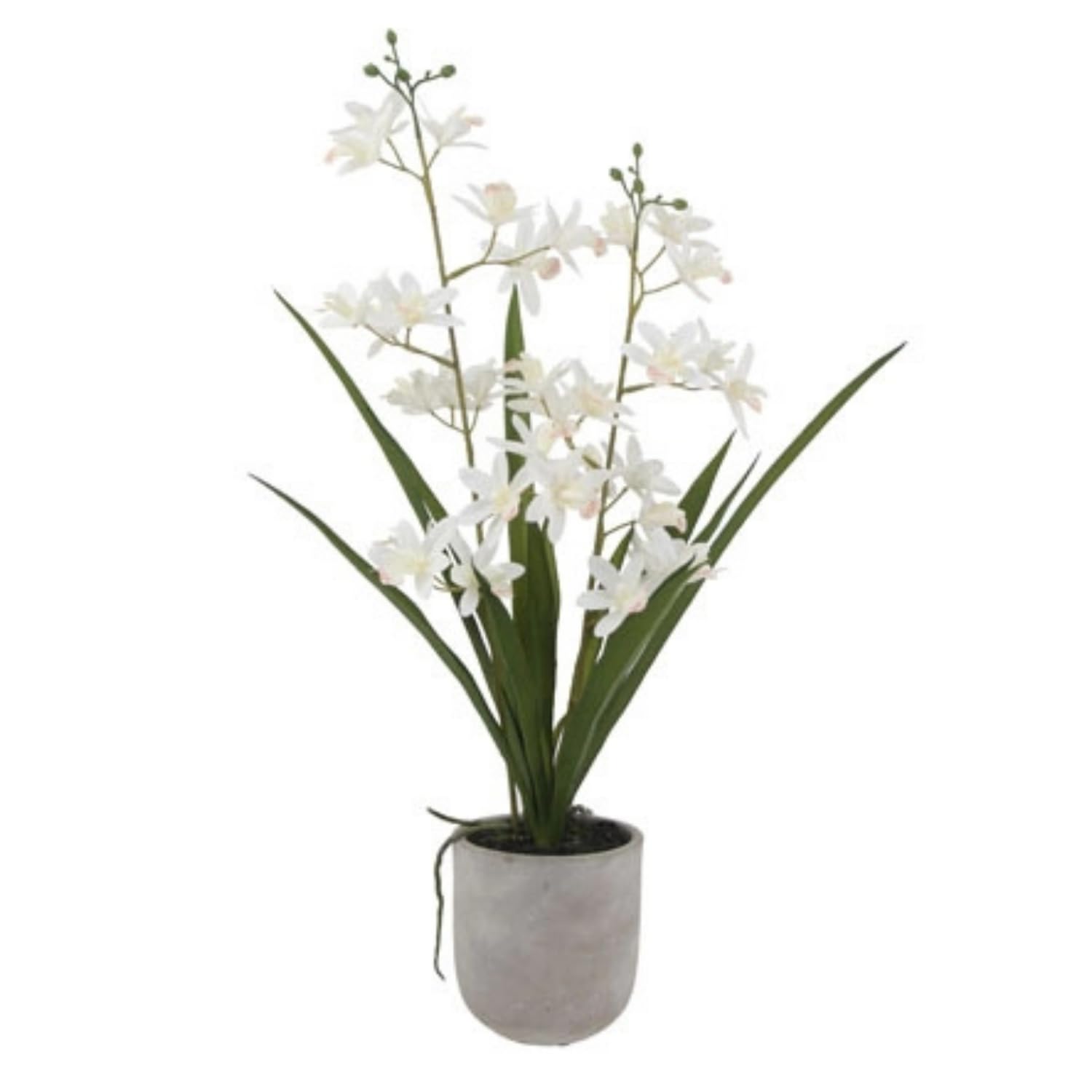 CG Hunter, Faux Vanda Orchid Plant, 20.5 in, White, Home Decor
