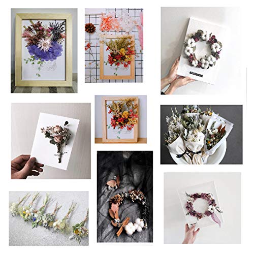 2 Box Real Natural Dried Flowers for Resin Molds, Mini Dried Flower Bouquet, Pressed Flowers for Candles Jewelry Crafts Scrapbooking Decoration
