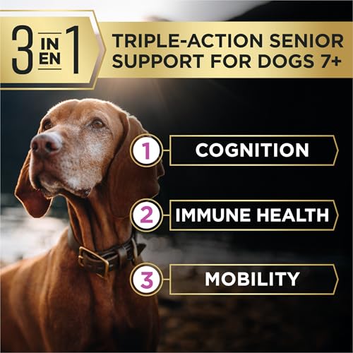 Purina Pro Plan AdvantEDGE Senior Support 7+ Dry Dog Food, 3.5 lb Bag | Chicken and Rice Formula, provides 3-in-1 senior support, offers cognitive and immune support for senior dogs - image 4