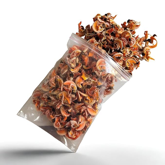 Dried Palash Flowers, Butea Monosperma, Orange Flame of Forest, 100g, Traditional Festival Decor-image-5