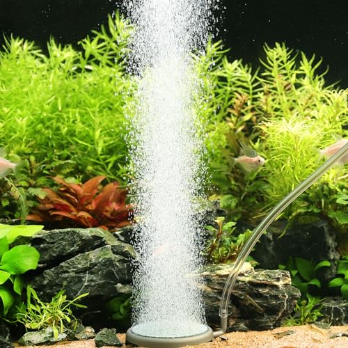 hygger ANAE GAXg[ tBbV^N ou[ É n_fXg[Lbg imtBbV^N GAXg[ ouXeXX`[ GAXg[ Ϗ܋^NƐk͔|p-3C`