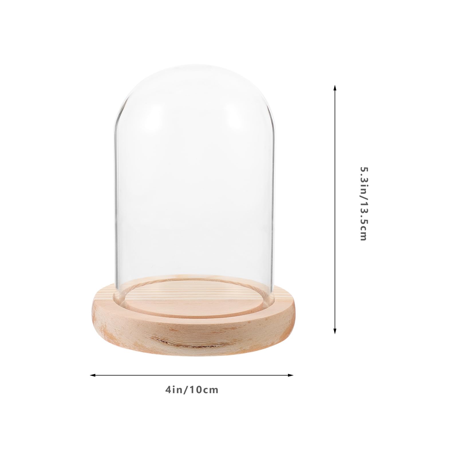 Miniatur-Glocke aus Glas für Sammlerstücke, Glockenkuppel für Pflanzen, Blumenhandwerk