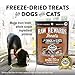 Northwest Naturals Raw Rewards Freeze-Dried Bison Liver Treats for Dogs and Cats - Bite-Sized Pieces - Healthy, 1 Ingredient, Human Grade Ingredients, All Natural, Proudly Made in USA, 3 Oz