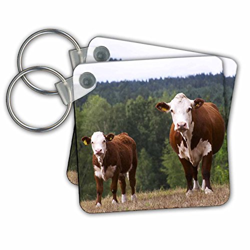 Porte-clés 3dRose KC 82607 vaches de veau photo authentique de Smaland pour un style unique