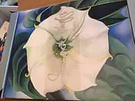 洋書 ia O'Keeffe Georgia O'Keeffe : In the West by Georgia O'Keefe (1989