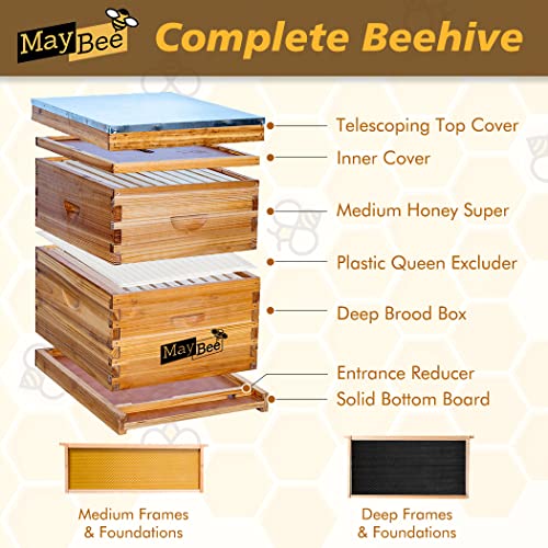 Beehive 10 Frame Bee Hives and Supplies Starter Kit, Bee Hive for Beginner, Honey Bee Hives Includes 1 Deep Brood Hive Box, 1 Bee Hive Super Box with Beehive Frames and Foundations - Image 3