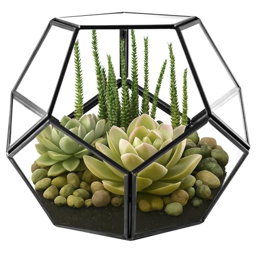 Toemics Small Geometric Terrarium Planter Little Plant Container Glass Moss Plant Pot for Succulent, Cacti, Air Plants Indoor Home Garden Tabletop Decor, Black