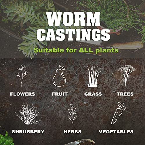 Extracto líquido orgánico para crecimiento de plantas 20 oz miniatura 4