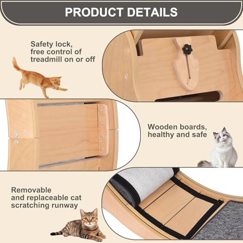 Doppy Roda de exercícios para gatos, 100 cm, esteira para gatos em ambientes internos com base aprim