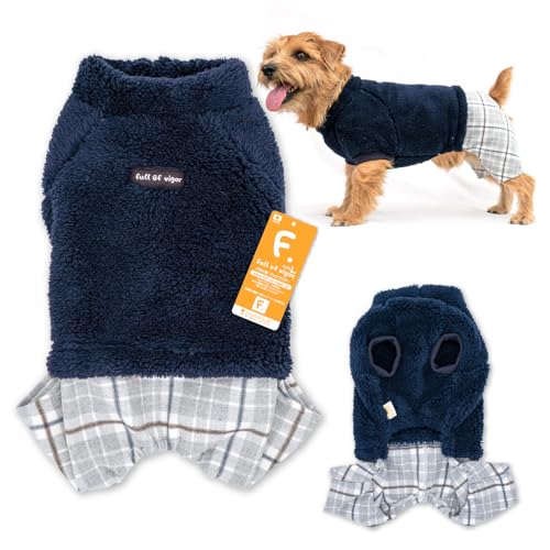 ^ C[h t[X {A Ȃ p[X ̕ tIurK[ 5/lCr[ NM