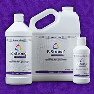 Revival Animal Health Breeder’s Edge – B Strong – B Vitamin, Iron and Mineral Supplement – Vitamin B for Dogs, Cats, Puppies & Kittens – 8 oz Liquid
