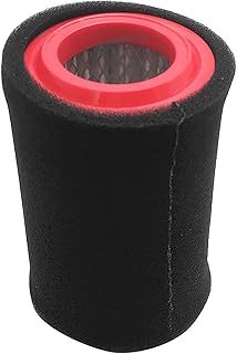 TAOTT - Filtro de aire para motocicleta Atv para filtros de aire Jianshe Loncin de 250 Cc Js250 Atv Quad Parts (color: negro)