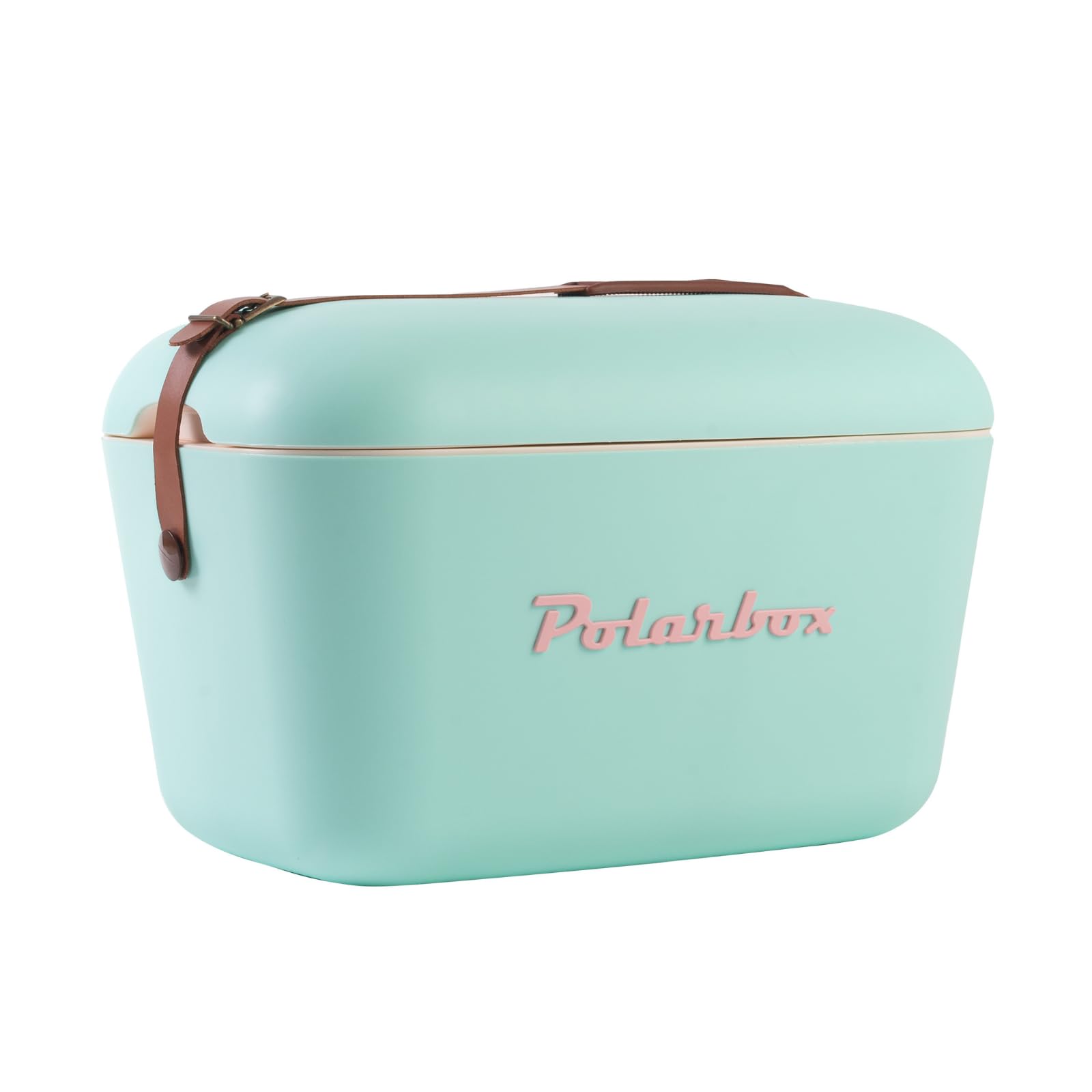 Retro Beach Cooler Vintage Picnic Lunch Box Bag Portable Cooler Travel Camping Hiking 90s Style Ice Chest