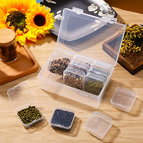 Image of Blulu 52 Pcs Bead Organizer Box, Plastic Storage Cases Mini Clear Bead Storage Containers Classroom DIY Craft Transparent Boxes with Hinged Lid for Diamond Painting Accessories Jewelry