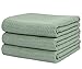SINLAND Microfiber Dish Drying Towels Waffle Weave Kitchen Towels Absorbent Tea Towels 16 Inch X 24 Inch 3 Pack Mint Green