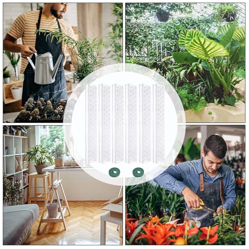 Support transparent Monstera et tuteur de grimpante d'intérieur empilable haut de gamme