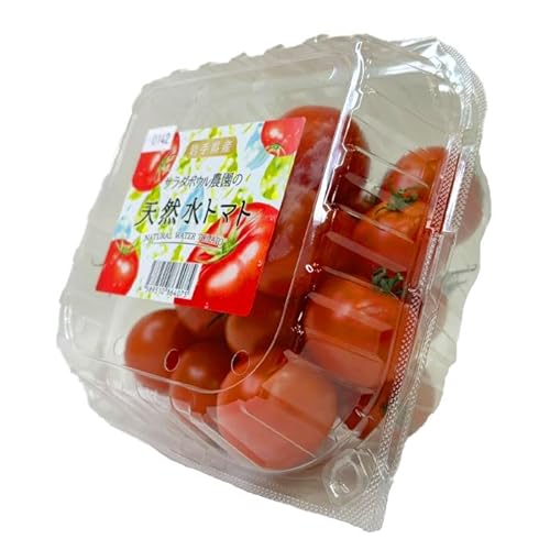 y RXgR z茧Y T_{E_Ƃ VRg}g ①