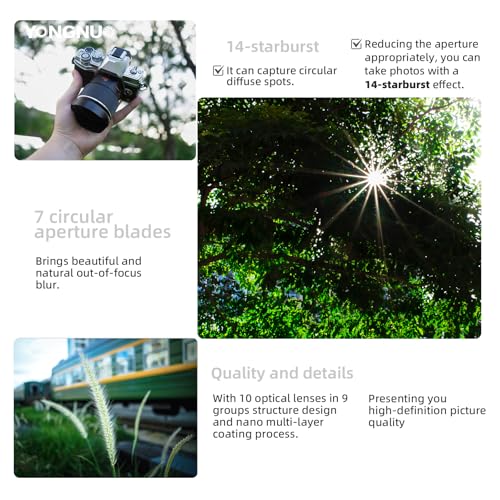 Yongnuo 17MM F1.7 M Lens For M43 Mount, 17Mm F1.7 Standard Prime Auto Focus, Mft Micro Four Thirds For Mirrorless Cameras thumb #6