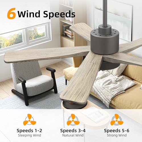 Image of WINGBO 48 Inch DC Ceiling Fan with Lights and Remote Control, 5 Carved Solid Wood Blades, 6-Speed Noiseless Reversible DC Motor, Indoor Ceiling Fan in Graphite Finish with Gray Blades