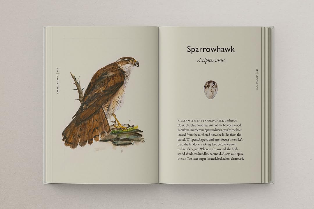 The Book of Birds: The #1 Sunday Times bestseller from the authors of award-winning phenomenon The Lost Words